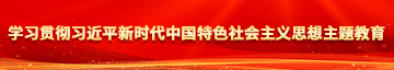 日骚逼性爱视频网学习贯彻习近平新时代中国特色社会主义思想主题教育