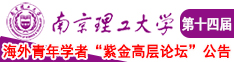 毛片搞逼逼南京理工大学第十四届海外青年学者紫金论坛诚邀海内外英才！